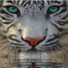 randymaplejr - @randymaplejr - TikTok