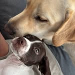 Randy & Marley 🐾 - @randyandmarley - Instagram