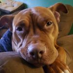 Randy Matheny - @sluggovw - Instagram