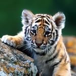 Randy Mathias - @randy.mathias.520 - Instagram