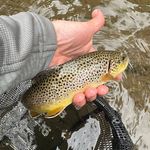 Randy Matson - @randy.matson73 - Instagram
