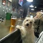 Randy Matson - @mtbr29 - Instagram