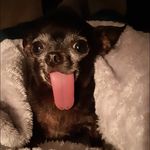 Randy matterson - @randymatterson - Instagram