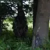 Randy Matthys - @randy.matthys - TikTok