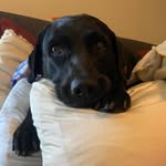 Randy Maxwell - @randydude910 - Instagram