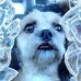 Randy Maxwell - Facebook