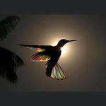 Randy Mayer - @randymayer72 - Instagram