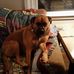 Randy Maynard - Facebook