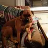 randymaynard - @randymaynard - TikTok