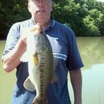 Randy Mcbee - @randymcbee - Instagram