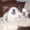 Randy Mccall - @randy.mccall - TikTok