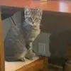 Randi McCallum - @randi.mccallum - TikTok