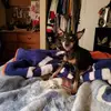 randymccallum39 - @randymccallum39 - TikTok