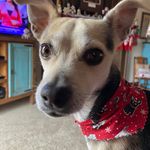 Randy McCormick - @randy.mccormick.102 - Instagram