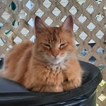 Randy McCray - @mccrayrandall - Instagram