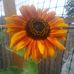 Renda McCullar - Facebook