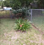 Randy McCutchen - Facebook