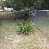randymccutchen - @randymccutchen - TikTok