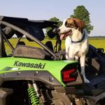 Randy McDaniel - @randallmackwolf - Instagram