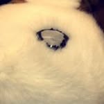Randy McGee - @theprotocol16748 - Instagram