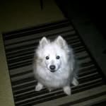 Randy Mcgrath - @randy.mcgrath.14 - Instagram
