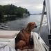 Randy McManus - Facebook