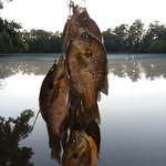 Randy McManus - @randy.mcmanus - Instagram