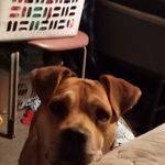 Randy McMurray McMurray - @randymcmurraymcmurray - Instagram