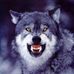 Randy McNew - Facebook