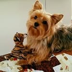 Randy McNew - @randymcnew - Instagram