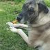 Randall McWhorter - Facebook