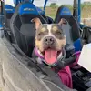 randymcwhorter869 - @randymcwhorter869 - TikTok
