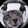 Randy Medina - @randy.medina3 - TikTok