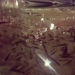 randy merchant - @mercjant - Instagram