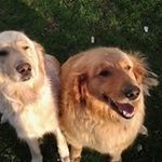 Randy Mertz - @mertzrandy - Instagram