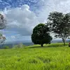 randymiguel448 - @randymiguel448 - TikTok