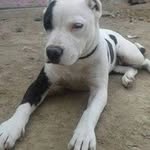 Randymiguel Orozco - @orozcorandymiguel - Instagram