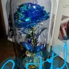 Randy Mortensen - @randy.mortensen - TikTok