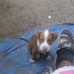 Randy Moultrie - Facebook