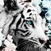 Randy Moultrie - Facebook