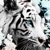 randymoultrie77 - @randymoultrie77 - TikTok