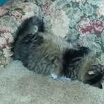 Randy Muehlbauer - @randymuehlbauer - Instagram