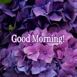Randy Muller - @randy.muller.3511041 - Instagram
