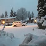 randy mullin - @randymullin0.17 - Instagram
