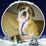Randy Murphy - @rmurphy4191 - Instagram