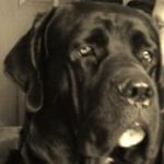 Randy Murphy - @randy4632 - Instagram