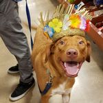 Randy Neeley - @theadventuresofrandykins - Instagram