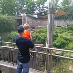 Randy Meneese - @meneeserandy - Instagram