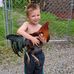Randy New - Facebook
