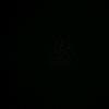 Randy New - @randynew1 - TikTok